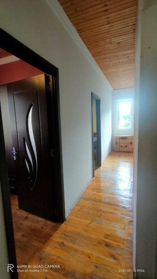 Shaulini Otel Kashveti Dış mekan fotoğraf