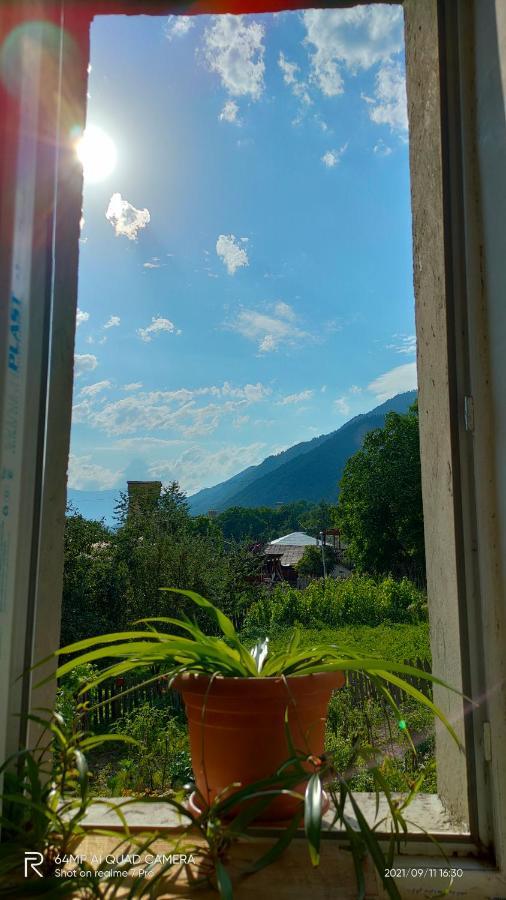 Shaulini Otel Kashveti Dış mekan fotoğraf
