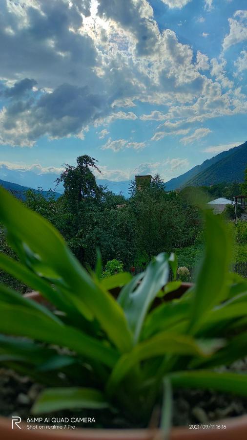 Shaulini Otel Kashveti Dış mekan fotoğraf