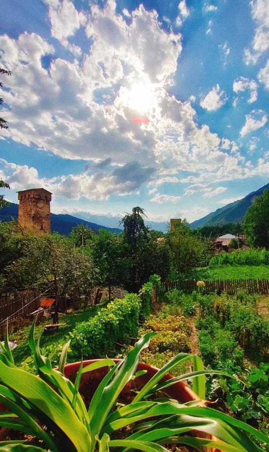 Shaulini Otel Kashveti Dış mekan fotoğraf