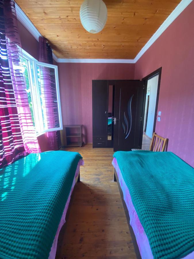 Shaulini Otel Kashveti Dış mekan fotoğraf