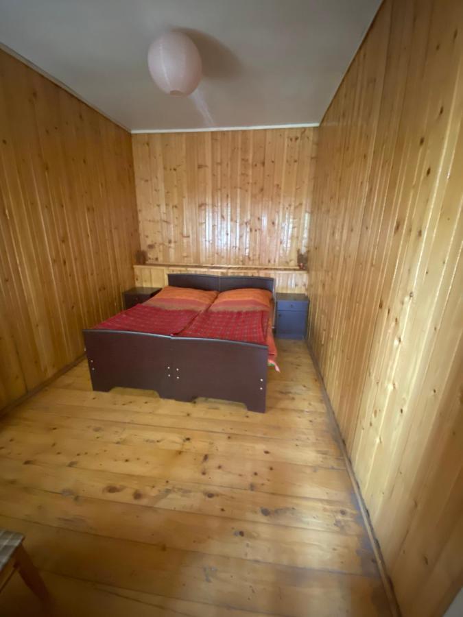 Shaulini Otel Kashveti Dış mekan fotoğraf