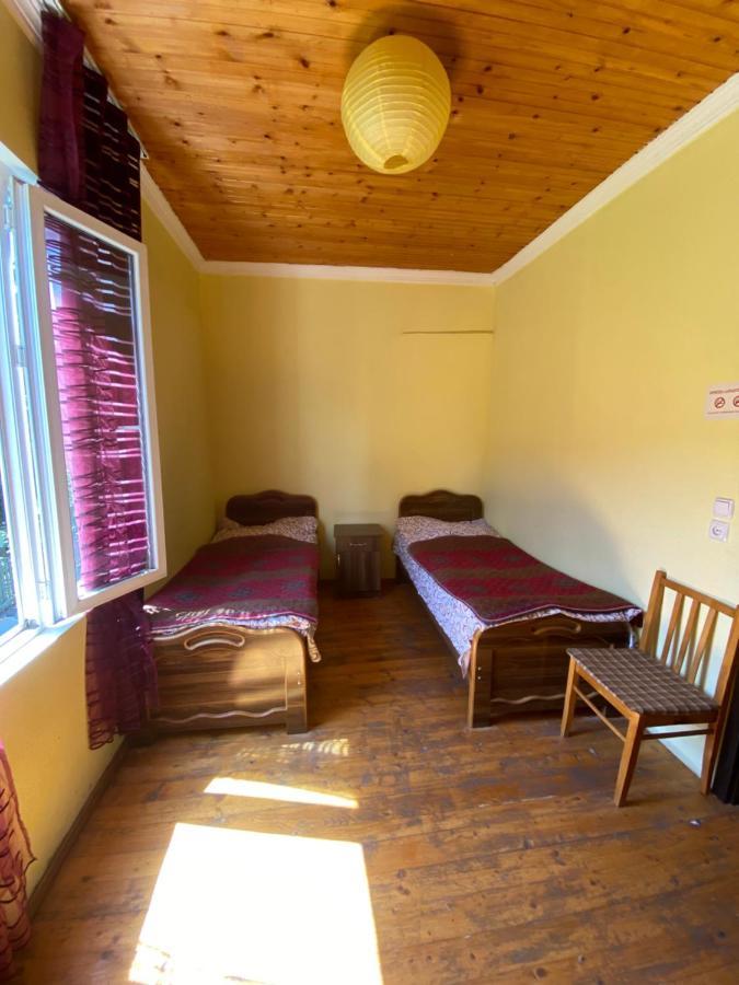 Shaulini Otel Kashveti Dış mekan fotoğraf