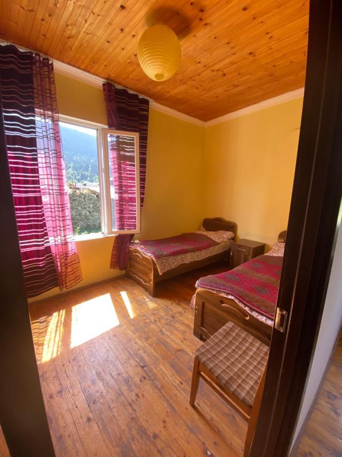 Shaulini Otel Kashveti Dış mekan fotoğraf