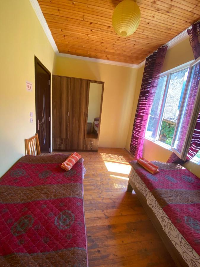 Shaulini Otel Kashveti Dış mekan fotoğraf