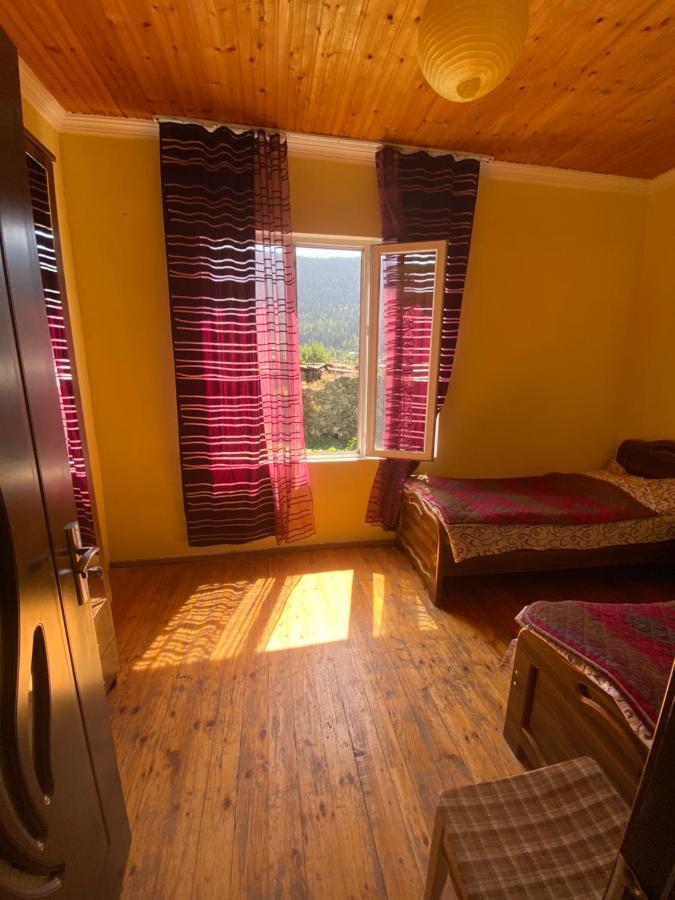 Shaulini Otel Kashveti Dış mekan fotoğraf