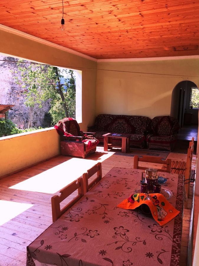 Shaulini Otel Kashveti Dış mekan fotoğraf