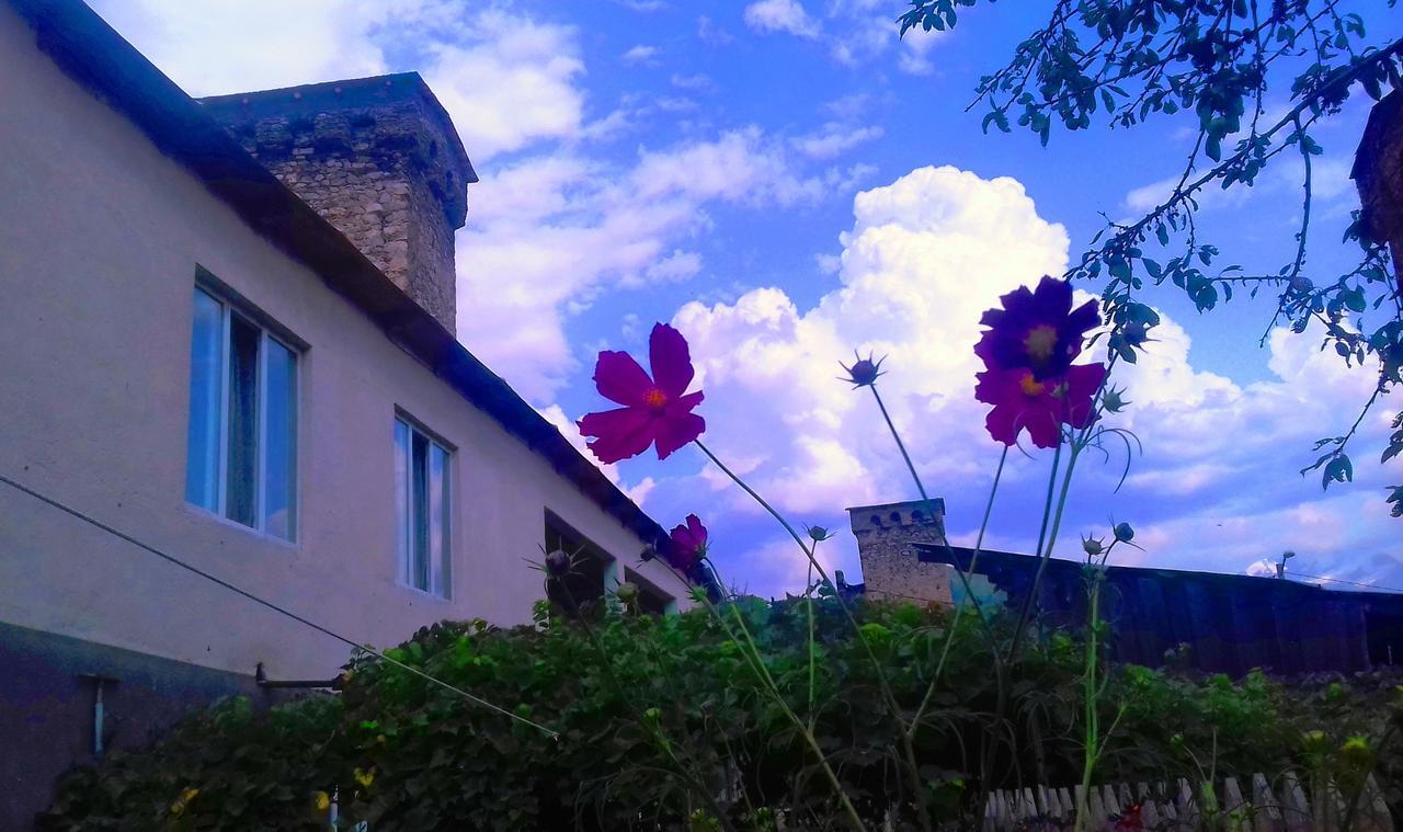 Shaulini Otel Kashveti Dış mekan fotoğraf