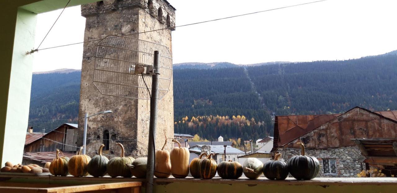 Shaulini Otel Kashveti Dış mekan fotoğraf
