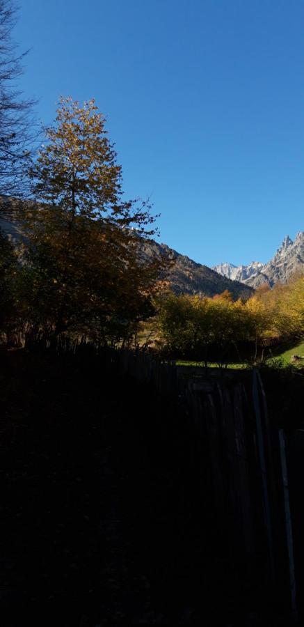 Shaulini Otel Kashveti Dış mekan fotoğraf