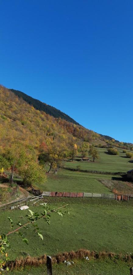 Shaulini Otel Kashveti Dış mekan fotoğraf